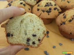 Muffin con gocce di cioccolato – ricetta originale