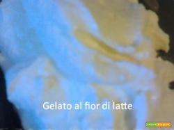 Gelato al fior di latte