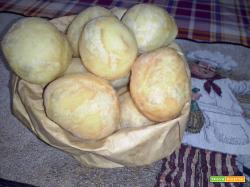 Scones al parmigiano