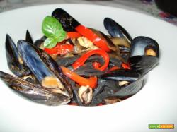 Troccoli al nero di seppia casa Vecere(per 2)