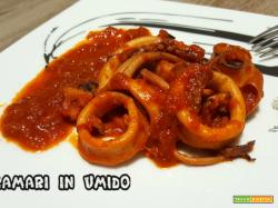Calamari in umido