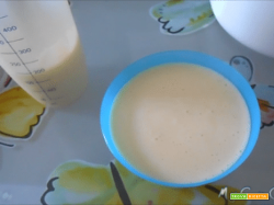 Maionese light senza olio con Cuisine Companion