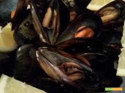 Cozze al vapore e bucconisi