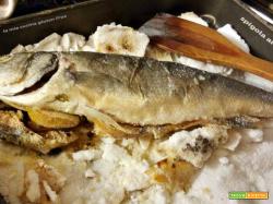 Branzino o spigola al sale