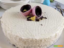 Torta di carote e cocco