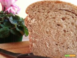 Pane tipo due all'olio