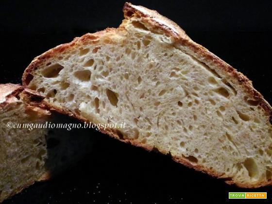 Pane di grano duro senza impasto con cottura frigo-forno, ovvero L'ultimo pane di Orlando