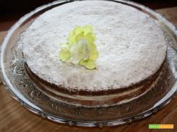 LA COLAZIONE CON LA TORTA ALLA CREMA DI LATTE E L'ENNESIMO GATTO A RALLEGRARE LA VITA