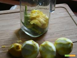 IL LIMONCELLO