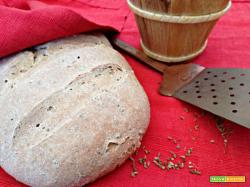 Pane con farina 2 e semi di anice (con lievito madre)