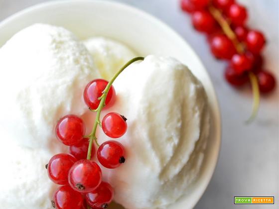 Gelato allo yogurt facilissimo senza gelatiera