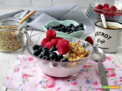 Yogurt fatto in casa con frutta e granola