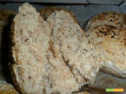 pane integrale con semi vari