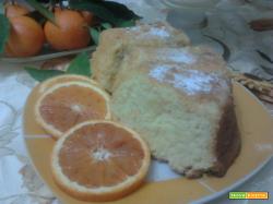 torta di mele e arancia