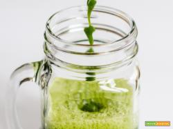 Estratto verde Evergreen