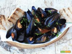 Cozze al sugo