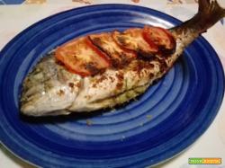 Orate al forno alogeno ad aria