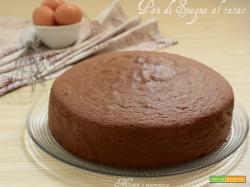 Pan di Spagna al cacao