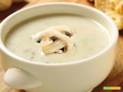CREMA DI CHAMPIGNON E PORCINI