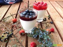 Budino di yogurt con coulis di lamponi o mirtilli (light)