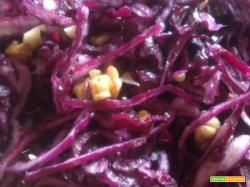 Cavolo rosso alla Valencia con aglio e noci