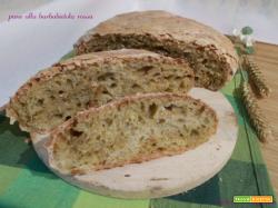 Pane alla barbabietola rossa – lievito madre