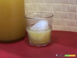 Limoncello e altri liquori agli agrumi col CuCo Moulinex
