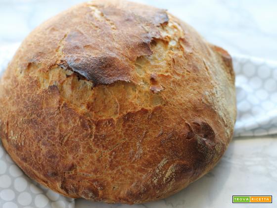No-knead bread/pane senza impasto