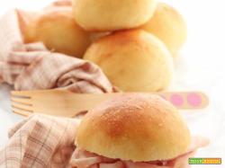 Panini all'Olio di Jessica Di Fraia