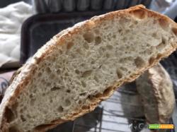 Pane “senza impasto”, impastato con il Companion Moulinex