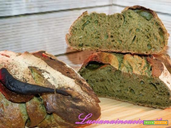 Pane all’alga spirulina