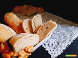 PANE tipo CIABATTA