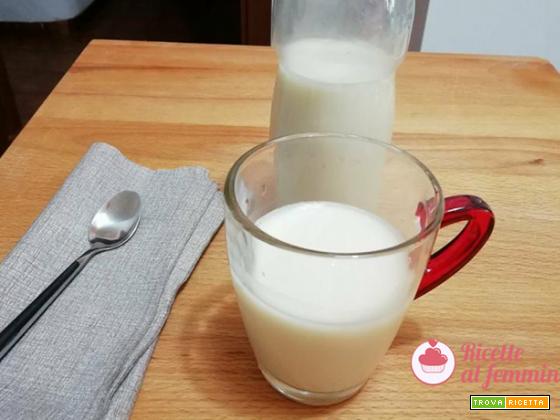 Come fare il latte d’avena in casa