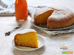Torta al succo di frutta ACE