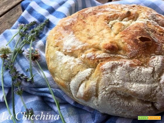 Pane senza impasto o no knead bread (di Jim Lahey)