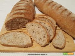 Filoni di pane con crusca e semi di lino