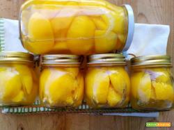 Pesche sciroppate