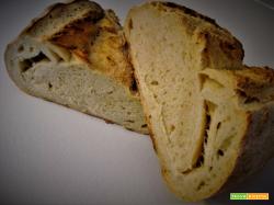 Pane di semola con LiCoLi (tipo pugliese)