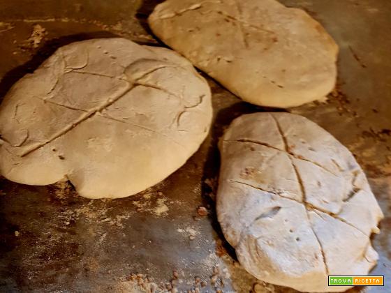 PANE TIPO AZZIMO