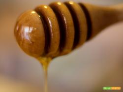 Usare il miele come sostituito dello zucchero nei dolci