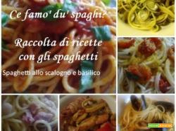Ce famo’ du’ spaghi? Raccolta di ricette con gli spaghetti