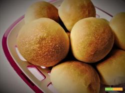 Panini all’olio morbidissimi
