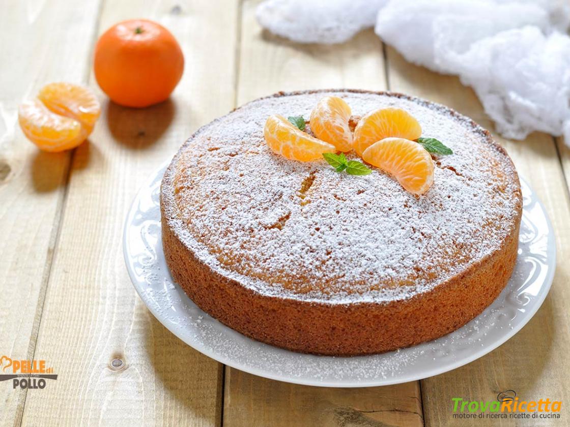 Torta Alle Clementine Soffice E Semplicissima Ricetta Trovaricetta Com