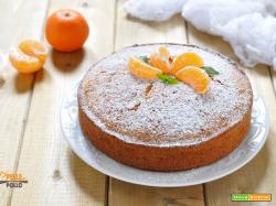 Torta alle clementine soffice e semplicissima