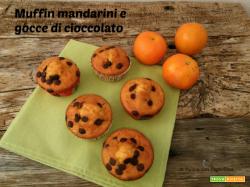Muffin mandarini e gocce di cioccolato