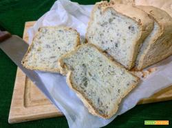 Pane senza glutine ai semi con la MdP