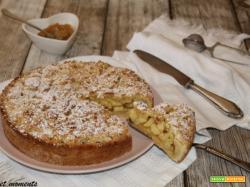Sbriciolata con marmellata e mele