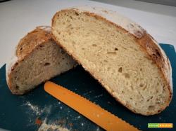 Pane con semola rimacinata di grano duro – Ricetta con Li.Co.Li. – 15h lievitazione