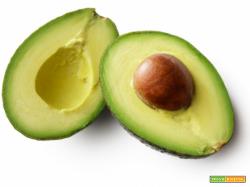 ANTIPASTO DI AVOCADO