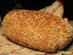 Pane ricco ai semi e fiocchi d’avena piccoli
